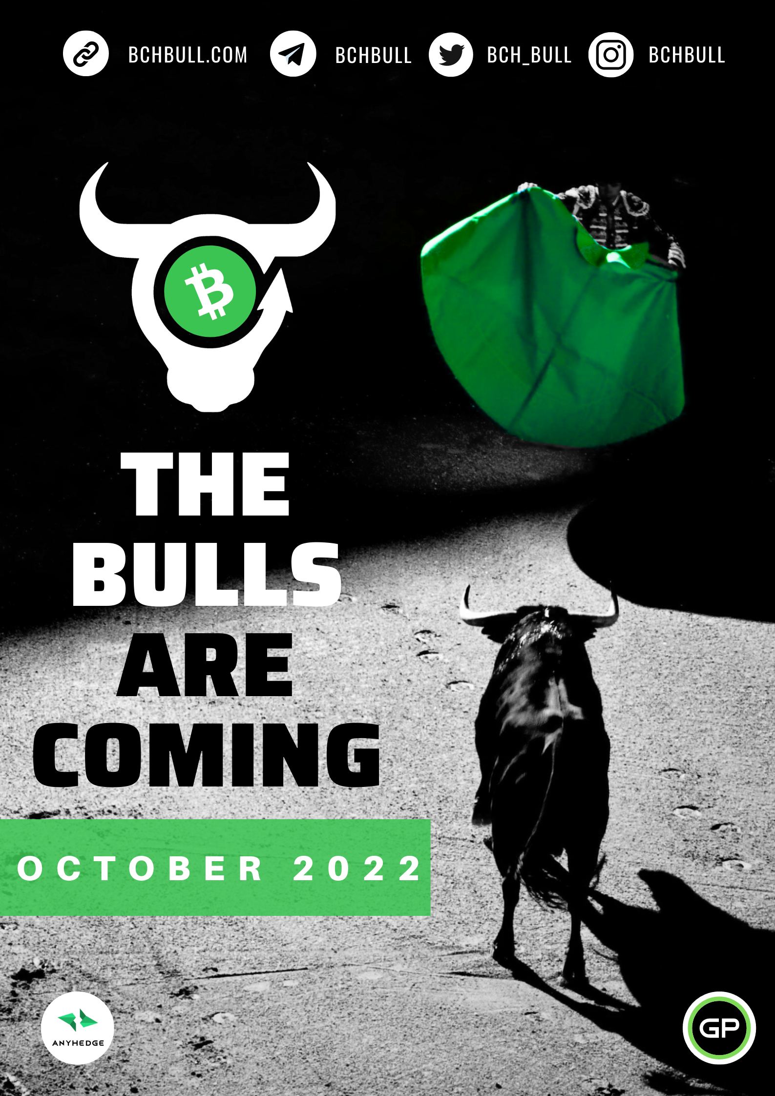 BCH Bull Posters